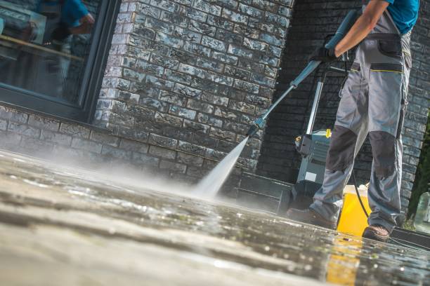 Best Residential Pressure Washing in Rice Lake, MN