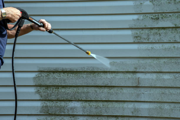Best Window and Screen Pressure Cleaning in Rice Lake, MN